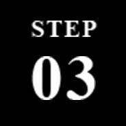 STEP03